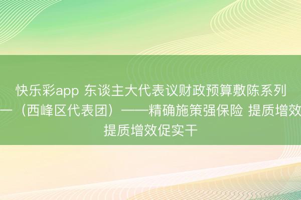快乐彩app 东谈主大代表议财政预算敷陈系列报谈之一（西峰区代表团）——精确施策强保险 提质增效促实干