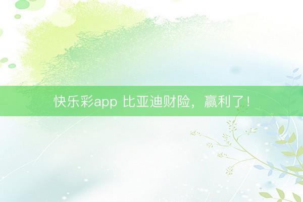 快乐彩app 比亚迪财险，赢利了！
