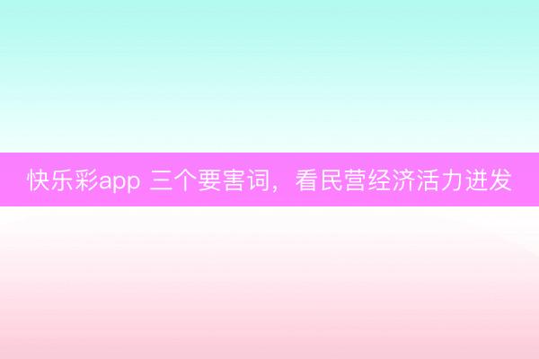 快乐彩app 三个要害词，看民营经济活力迸发