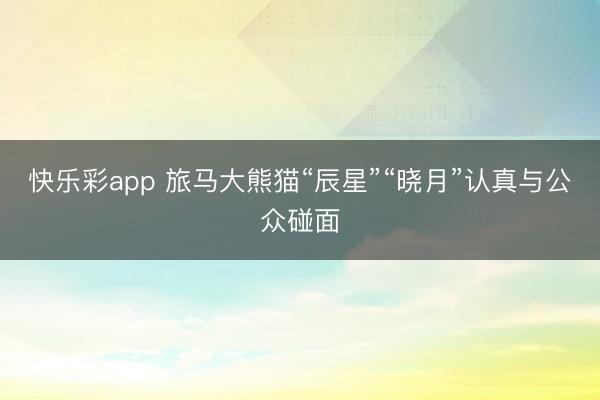 快乐彩app 旅马大熊猫“辰星”“晓月”认真与公众碰面