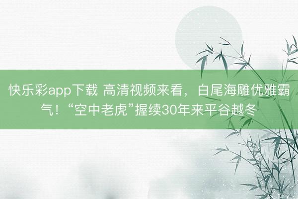 快乐彩app下载 高清视频来看，白尾海雕优雅霸气！“空中老虎”握续30年来平谷越冬