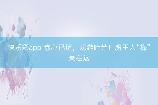 快乐彩app 素心已绽，龙游吐芳！魔王人“梅”景在这