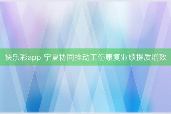 快乐彩app 宁夏协同推动工伤康复业绩提质增效