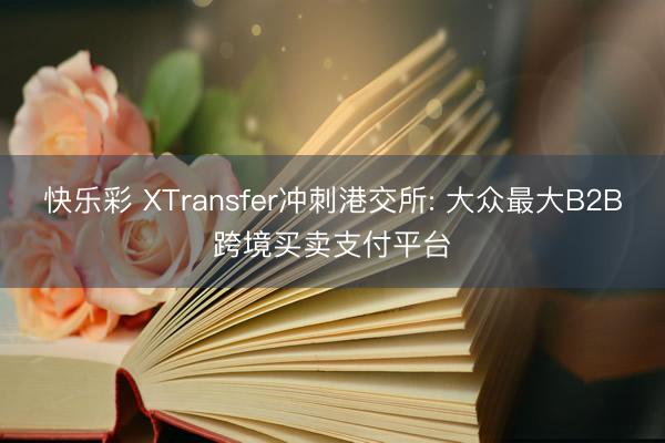 快乐彩 XTransfer冲刺港交所: 大众最大B2B跨境买卖支付平台