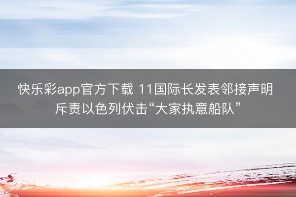 快乐彩app官方下载 11国际长发表邻接声明 斥责以色列伏击“大家执意船队”