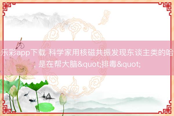 快乐彩app下载 科学家用核磁共振发现东谈主类的哈欠， 是在帮大脑"排毒"