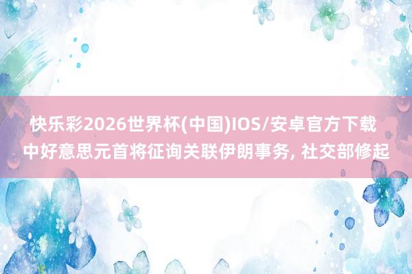 快乐彩2026世界杯(中国)IOS/安卓官方下载 中好意思元首将征询关联伊朗事务， 社交部修起
