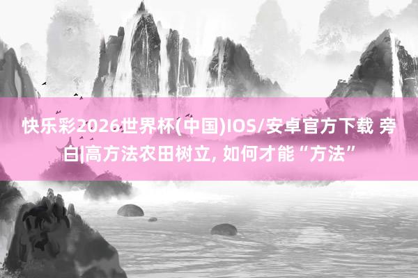快乐彩2026世界杯(中国)IOS/安卓官方下载 旁白|高方法农田树立, 如何才能“方法”