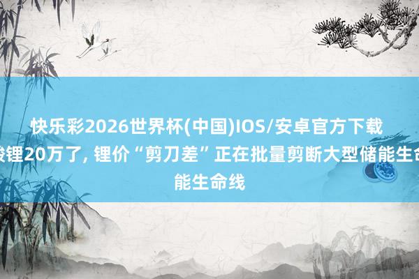 快乐彩2026世界杯(中国)IOS/安卓官方下载 碳酸锂20万了， 锂价“剪刀差”正在批量剪断大型储能生命线