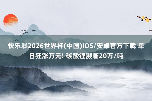 快乐彩2026世界杯(中国)IOS/安卓官方下载 单日狂涨万元! 碳酸锂濒临20万/吨