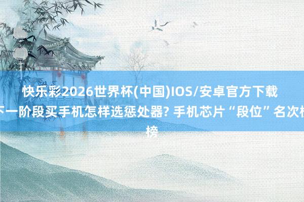 快乐彩2026世界杯(中国)IOS/安卓官方下载 下一阶段买手机怎样选惩处器? 手机芯片“段位”名次榜
