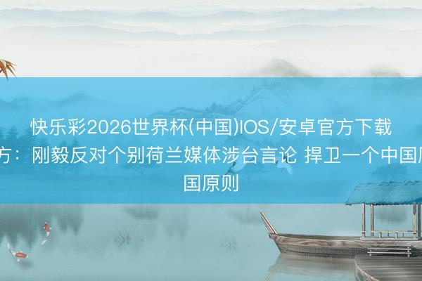 快乐彩2026世界杯(中国)IOS/安卓官方下载 中方：刚毅反对个别荷兰媒体涉台言论 捍卫一个中国原则