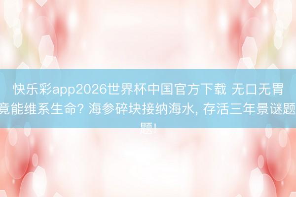 快乐彩app2026世界杯中国官方下载 无口无胃竟能维系生命? 海参碎块接纳海水， 存活三年景谜题!