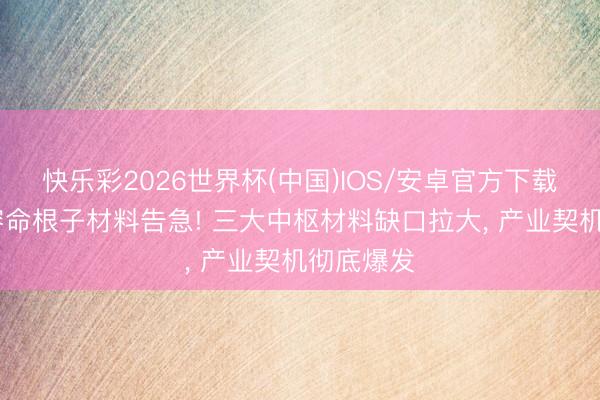 快乐彩2026世界杯(中国)IOS/安卓官方下载 超等电容命根子材料告急! 三大中枢材料缺口拉大， 产业契机彻底爆发