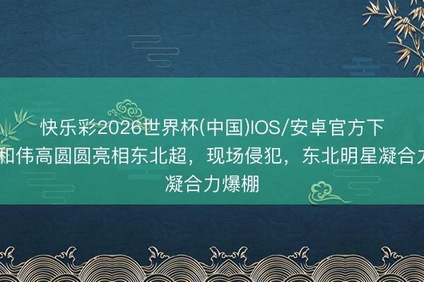 快乐彩2026世界杯(中国)IOS/安卓官方下载 于和伟高圆圆亮相东北超，现场侵犯，东北明星凝合力爆棚
